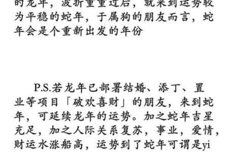 82属狗男2025年运势完整版 2025年82属狗男运势详解全年运程完整版