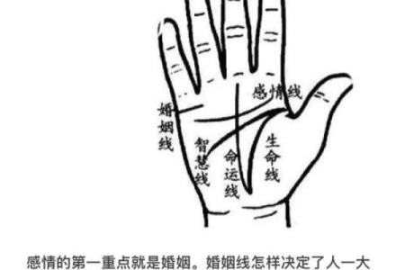 夫妻宫有天魁是小老婆_夫妻宫有天魁是什么意思