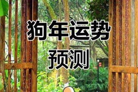 2025年属狗女运势 2025年属狗女运势详解事业财运爱情全解析