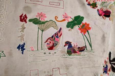 鱼水之情猜一生肖(鱼水之情猜一生肖最佳)