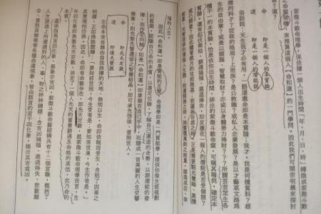 灯尘子紫微斗数_灯尘子紫微斗数解析揭秘命运玄机与人生指引