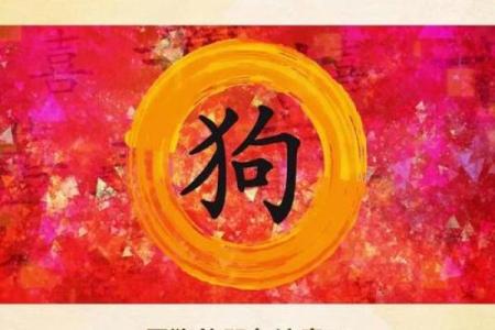 属狗的2025年多大年龄_2025年属狗的人多大年龄详细解析