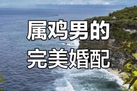 属鸡的配偶是什么属相最合适_属鸡的最佳配偶属相揭秘最合适的婚配选择