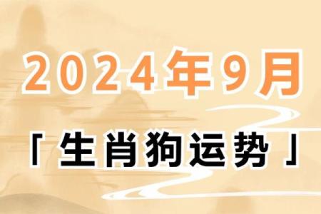 2025年狗的运势 2025年狗年运势详解财运事业爱情全解析