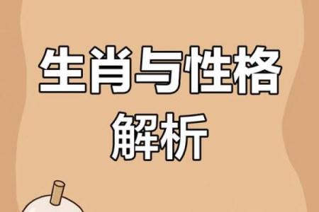 弄虚作假指什么生肖(弄虚做假是什么生肖)