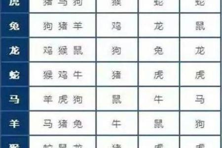 二八追求五迟疑是什么生肖(二八定打一生肖)