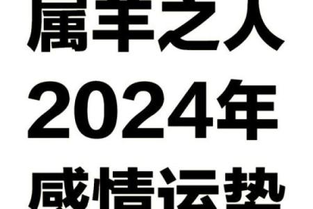2003年属羊人2024年运势详解运程走向与注意事项