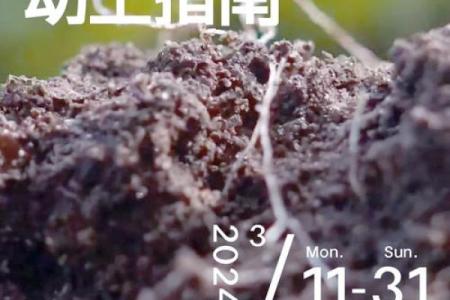 动土日子不好会怎样