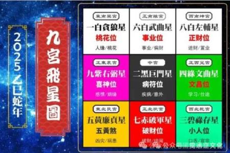 2025马年运势全解析生肖马全年运程完整指南