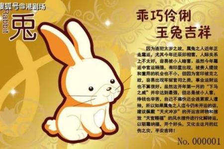 2025年属兔运势详解全年运程大揭秘