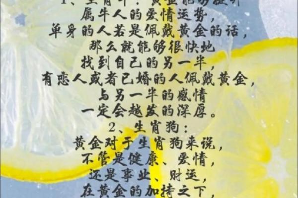 2002年属马人是什么命 2002属马是啥命