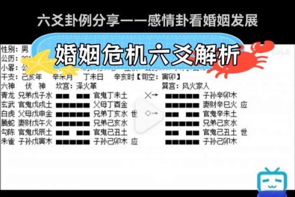 夫妻宫有红鸾是对方出轨_夫妻宫有红鸾是对方出轨的表现吗