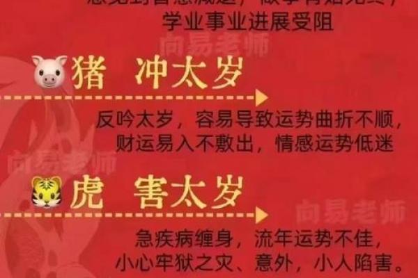 福德宫化忌是什么意思_福徳宫化忌 福德宫化忌是什么意思_福徳宫化忌