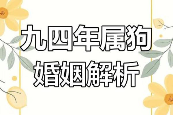 属狗和属狗的婚姻怎么样_属狗和属狗的婚姻怎么样 好不好