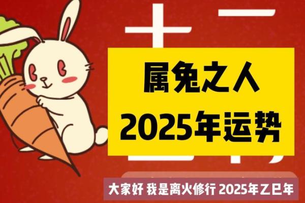 2025年87年属兔人运势详解财运事业感情全解析