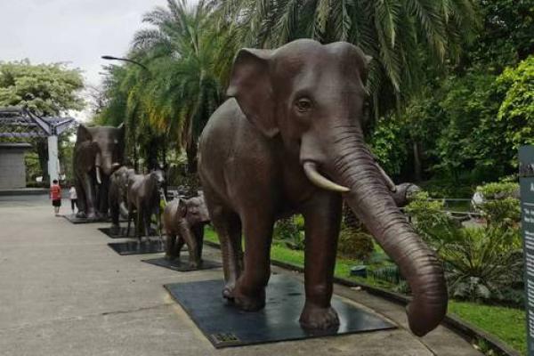 云游天下是什么生肖(云游天下是什么生肖动物图片及名称介绍) 云游天下是什么生肖(云游天下是什么生肖动物图片及名称介绍)