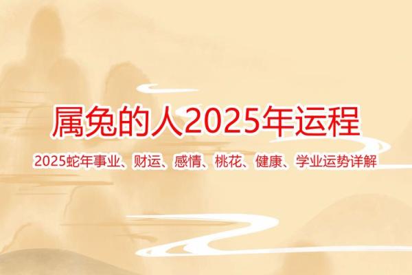 2024属兔人的全年运势 2024属兔人全年运势解析财运事业爱情全指南 2024属兔人的全年运势 2024属兔人全年运势解析财运事业爱情全指南