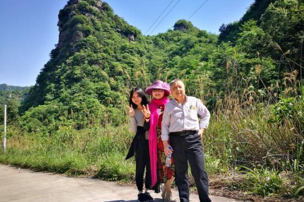 走马观花打一生肖(走马观花打一生肖狗)