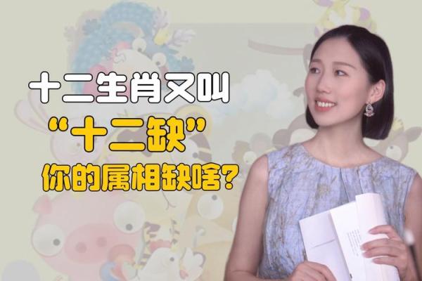 豪门酒肉打一生肖(豪门酒肉打一生肖什么生肖) 豪门酒肉打一生肖(豪门酒肉打一生肖什么生肖)