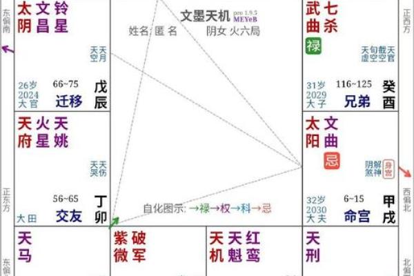 2025年3月24日寅时女命紫微斗数全解盘