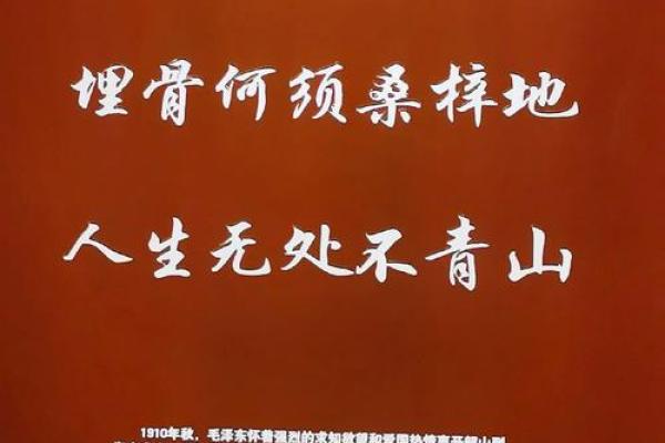 大江东去打一生肖 大江东去打一生肖