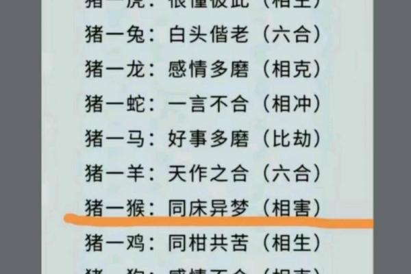 1999年属兔男最佳配偶_1999年属兔男最佳配偶属相