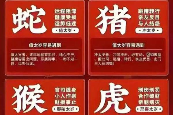 2025蛇年属龙运势全解析全年每月运程指南