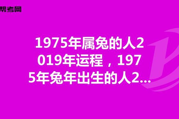 1975属兔2025年运势完整版_1975属兔2025年运势详解完整版预测与运势分析