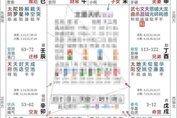 2025年2月19日子时女命紫微斗数全解盘 2025年2月19日子时女命紫微斗数全解盘