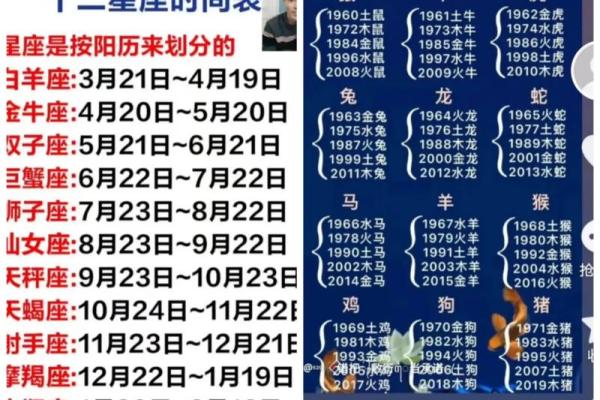 皓月千里指什么生肖