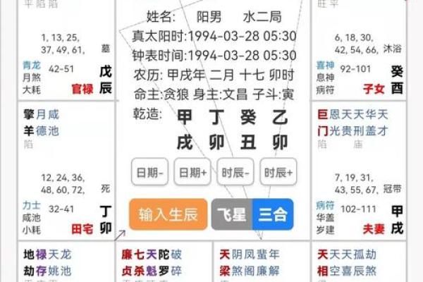 2025年2月20日卯时男命紫微斗数全解盘 2025年2月20日卯时男命紫微斗数全解盘