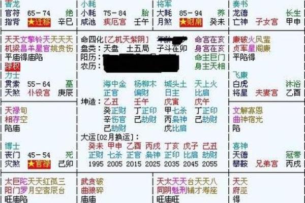 2025年3月8日子时女命紫微斗数全解盘 2025年3月8日子时女命紫微斗数全解盘