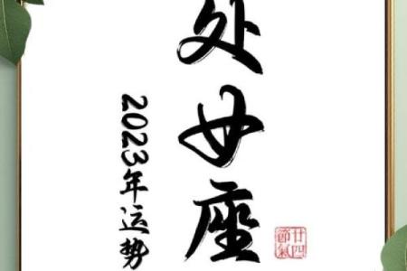 3月处女座运势_3月处女座运势解析事业爱情双丰收机遇与挑战并存