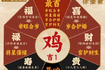 1969年属鸡2025年运势_2025年属鸡人1969年的全年运势