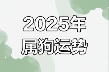属狗人2025年全年运势 男性_属狗人2025年全年运势 男性高考学生