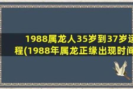 1988年属龙的贵人 1988年属龙的贵人方位是