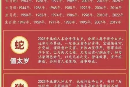 2025年生肖龙的全年运势 2025龙年运势全览生肖龙逐月运程大揭晓