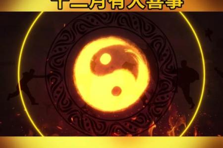 属龙今年多大2025 属龙的在2025年多大了