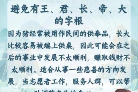 1995属猪什么时候添丁 1995属猪最佳添丁年份解析与运势指南