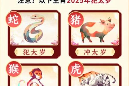 鼠肚鸡肠指什么生肖(鼠肚鸡肠什么生肖数字)