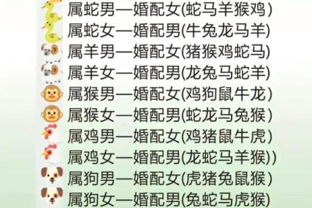 男鼠和女羊的属相适合结婚吗 男鼠和女羊的属相合不合