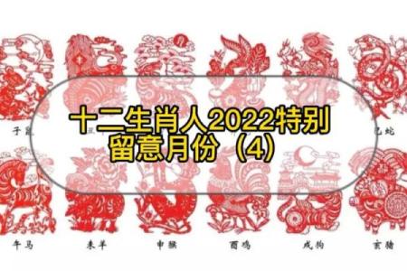 2022什么生肖年