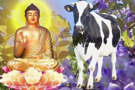 属牛2022年运势完整版