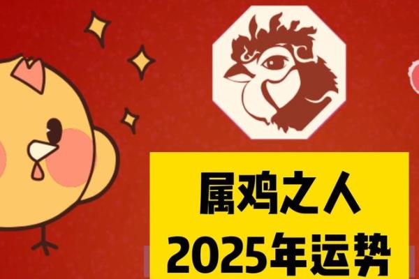 属鸡2025年多少岁 属龙的2025年多少周岁