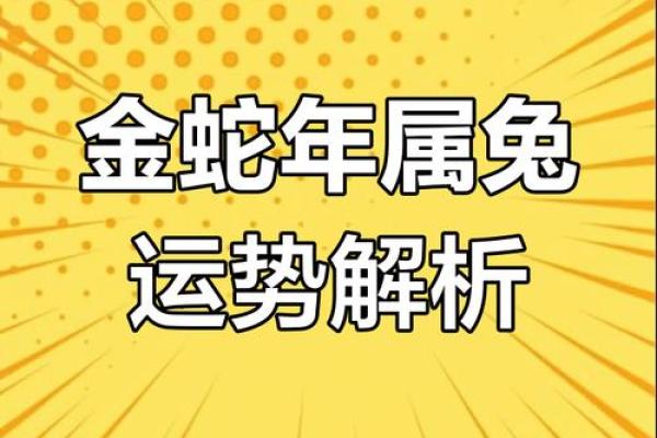 属兔2019年运势 属兔2019年运势