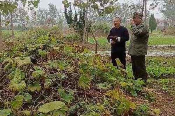 4月25日能动土吗 4月25日能动土吗