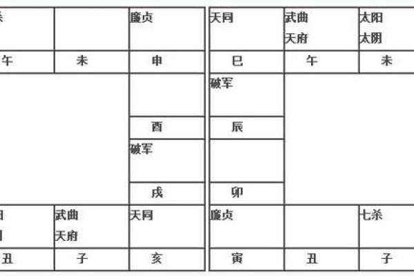 2025年2月18日子时女命紫微斗数全解盘