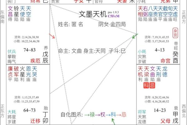 2025年3月30日丑时女命紫微斗数全解盘 2025年3月30日丑时女命紫微斗数全解盘