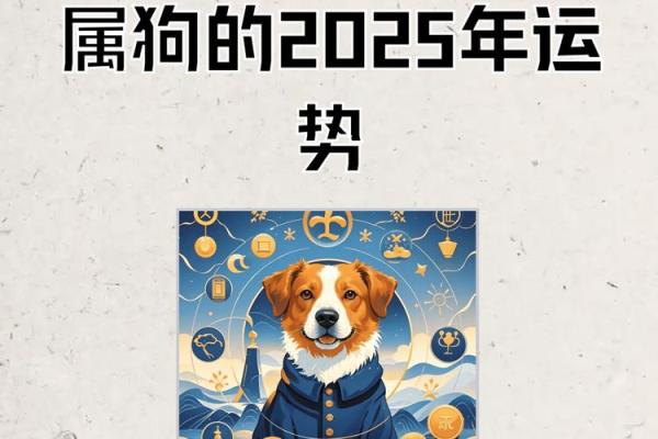 属狗人的2025年运势_2025年肖狗人的运势和运程