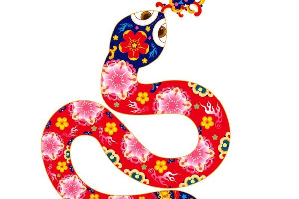 三更半夜是什么生肖(三更半夜是什么生肖正确答案)